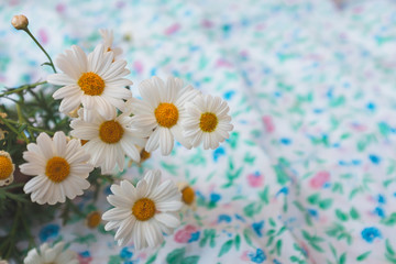 Obraz premium Bouquet of chamomile and daisy's of field series