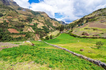 Fototapeta na wymiar Peruvian Landscape View