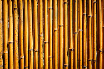 Naklejka premium bamboo background