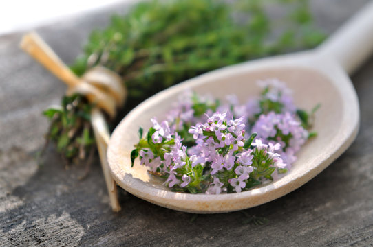 fleurs de thym dans cuill&egrave;re en bois sur planche 