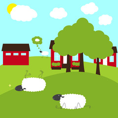 Sheep on fancy farm