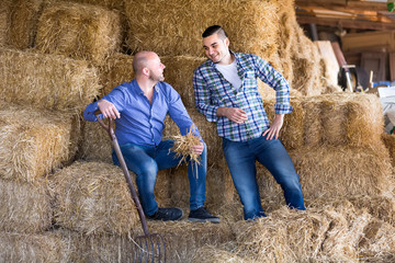 Naklejka na ściany i meble Farmers resting on hayloft