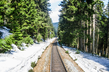 Fototapeta na wymiar Harzer Bahn
