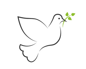 White dove contour with a green branch