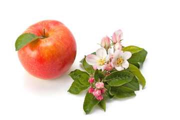 flowers and ripe apple