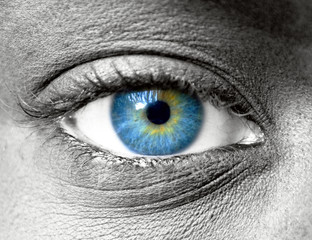 Blue eye extreme close up