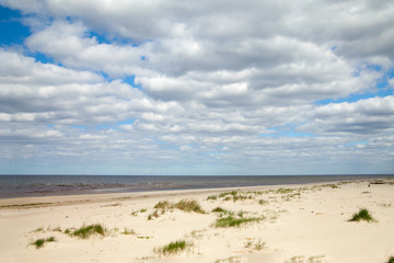 Fototapeta na wymiar Grass in sand at Baltic sea.