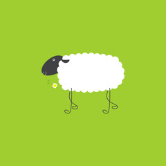 Sheep with chamomile