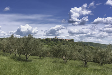 Village de Groznjan Croatie