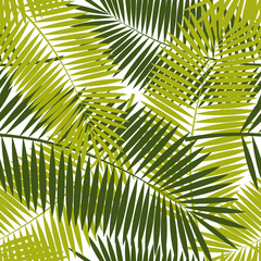 Palm Leaf Seamless Pattern Background Vector Illustration
