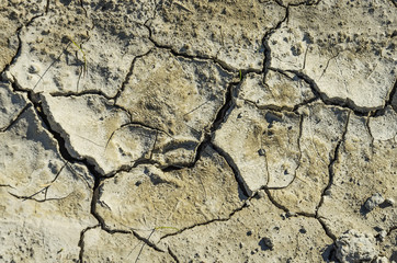 dry cracked earth background