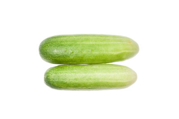 Cucumber
