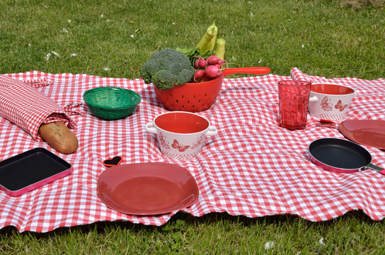 Lunch set on a lawn