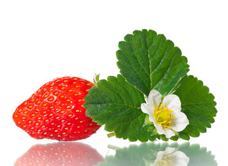 Ripe strawberry