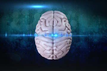 image of brain