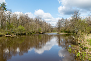 Obraz premium scenic reflections of trees and clouds in water