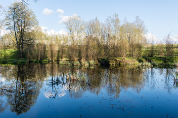 scenic reflections of trees and clouds in water