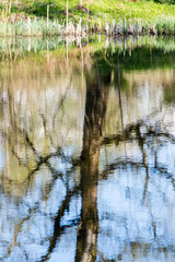 scenic reflections of trees and clouds in water