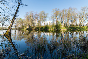 scenic reflections of trees and clouds in water