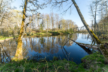 scenic reflections of trees and clouds in water