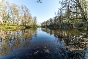 scenic reflections of trees and clouds in water