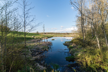 scenic reflections of trees and clouds in water