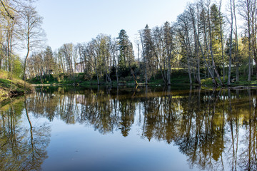 scenic reflections of trees and clouds in water