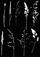 set of nine white plant silhouettes