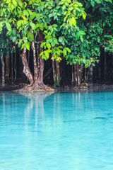 Emerald Pool (Sra Morakot) Krabi province , Thailand.