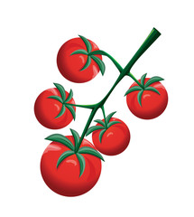 Cherry tomatoes