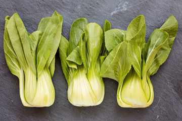 Three Pok Choi cabbage  on gray background, top view