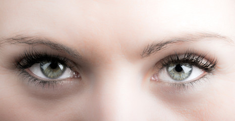 Fototapeta premium eyes and long eyelashes