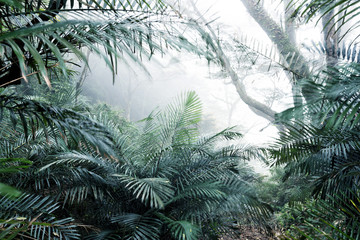 Trees bush in forest