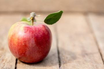 Fresh apple