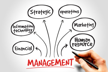 Management mind map business strategy concept