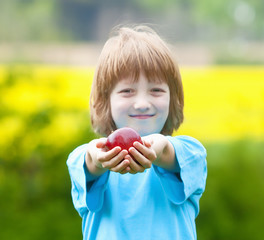 Boy Holding Red Apple in the Garden