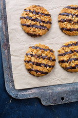 Homemade cookies on baking sheet