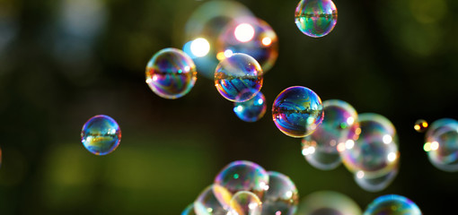 Soap bubbles - 83293938