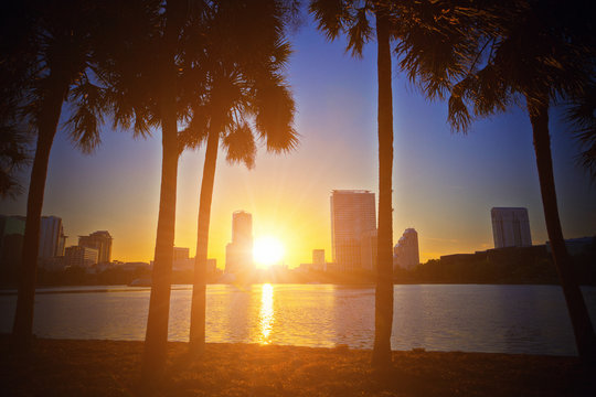 Orlando Skyline At Sunset