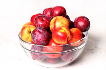 Fruits