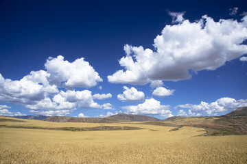 Fototapeta na wymiar 聖なる谷の草原と雲