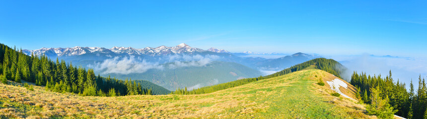 Panoramic view of spring meadow and mountains with snow