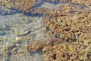 small waves on the rocks