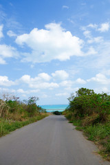 Fototapeta na wymiar 沖縄県　小浜島の風景