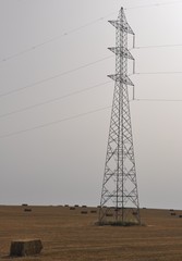Torre de alta tension en medio de campo de cereal