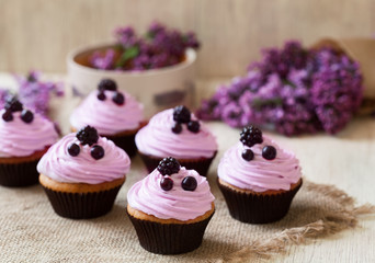 Cupcakes traditional American sweet baked dessert with berries