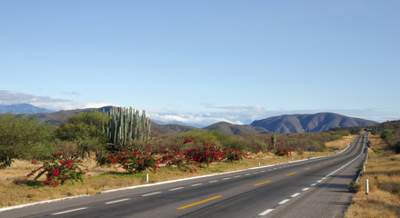 Mexico landscape