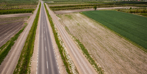 fruit orchard , Polish orchards , aerial photo 