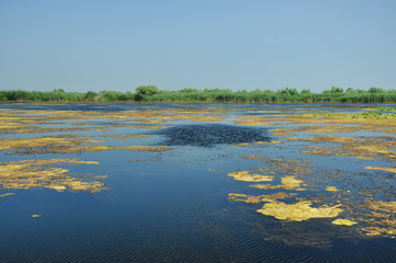 Lake in the Danube delta, Romania