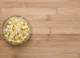 Preserved Soy Sprouts